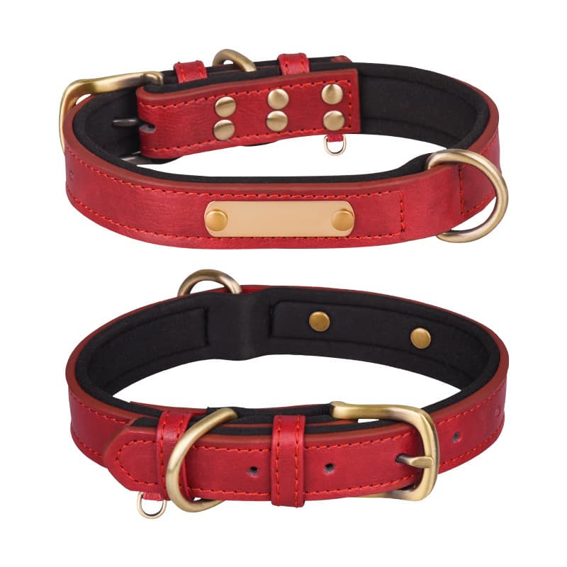 Red padded dog collar showing the inner band and buckle hardware