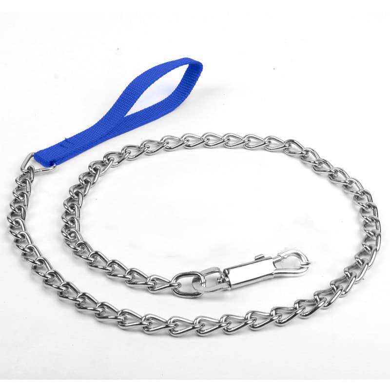 Blue handled metal chain dog leash on a white background