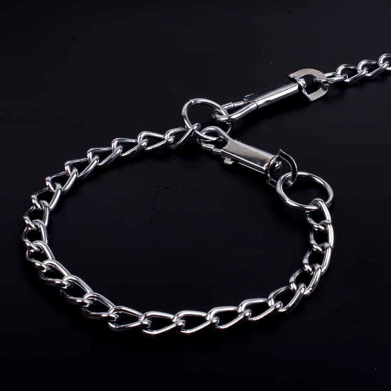 Metal chain dog leash with matching chain collar set
