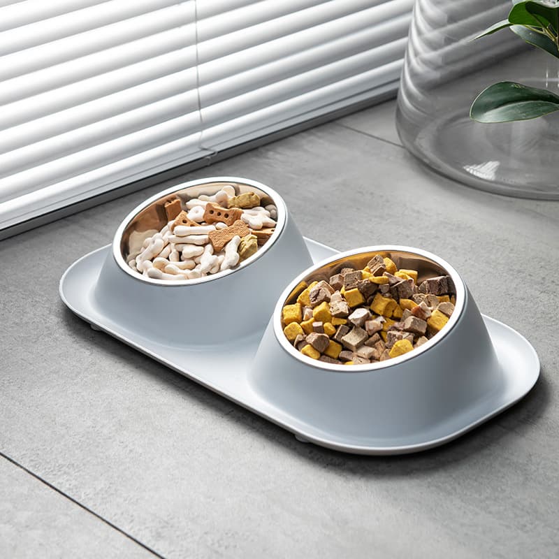 Stable slow feeder stainless steel double bowl with pet food