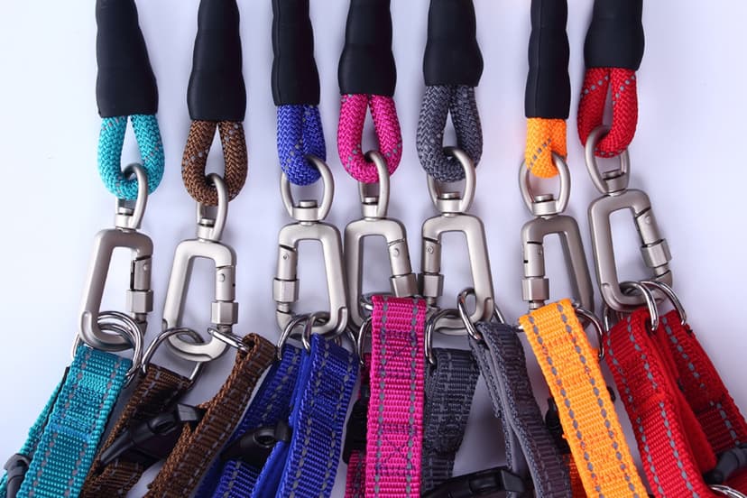 Metal clip connection details on colorful round rope pet leashes