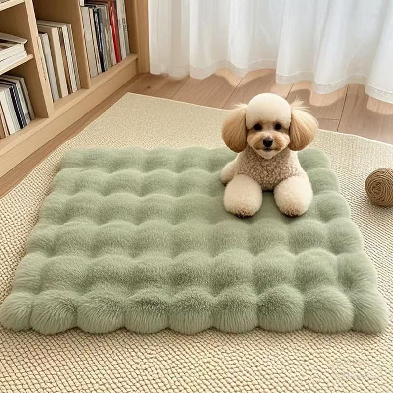 Matcha green bubble fleece pet cushion mat with a small dog