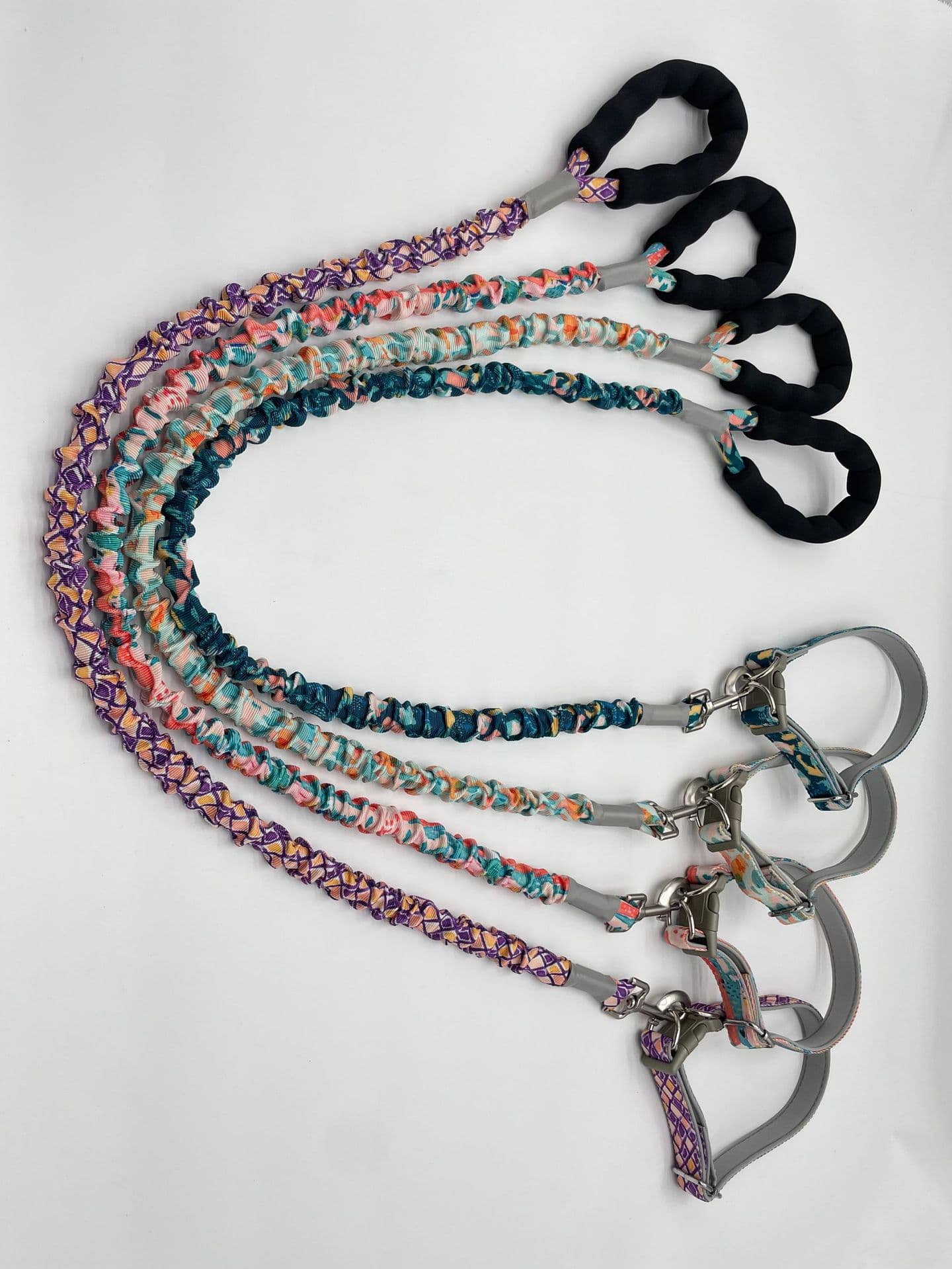 Printed Bungee Dog Leash main product image