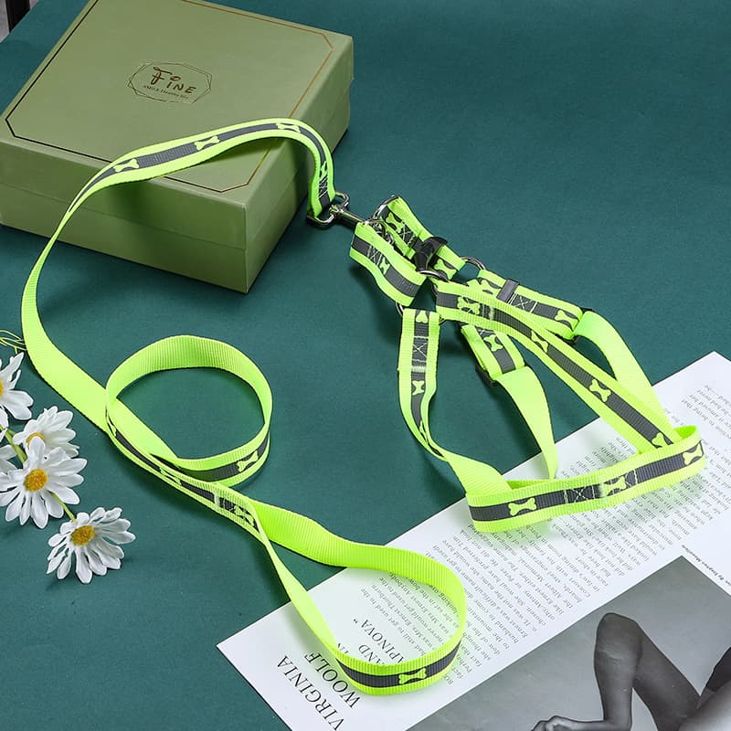 Reflective Harness Leash Set main product image