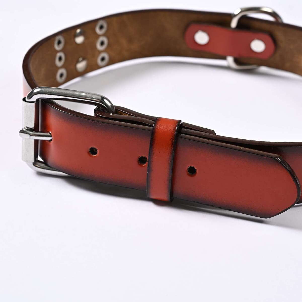 Close-up of the metal buckle on a chestnut studded PU dog collar